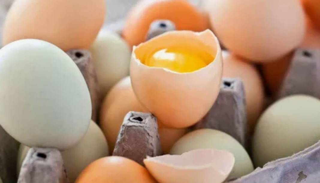 Beyaz mı kahverengi mi? Hangi yumurta daha sağlıklı? 2